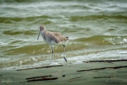 202011_Seabrook-00778.jpg