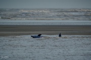 202011_Seabrook-00882.jpg