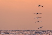 202011_Seabrook-08484.jpg