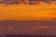 202011_Seabrook-08762.jpg