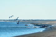 202011_Seabrook-09927.jpg