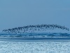 202011_Seabrook-00207.jpg