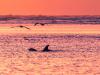 202011_Seabrook-00245.jpg