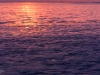 202011_Seabrook-00251.jpg