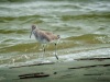 202011_Seabrook-00778.jpg