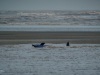 202011_Seabrook-00882.jpg