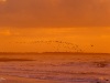 202011_Seabrook-08868.jpg