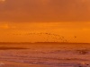 202011_Seabrook-08868.jpg