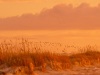 202011_Seabrook-08872.jpg