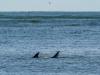202011_Seabrook-09256.jpg