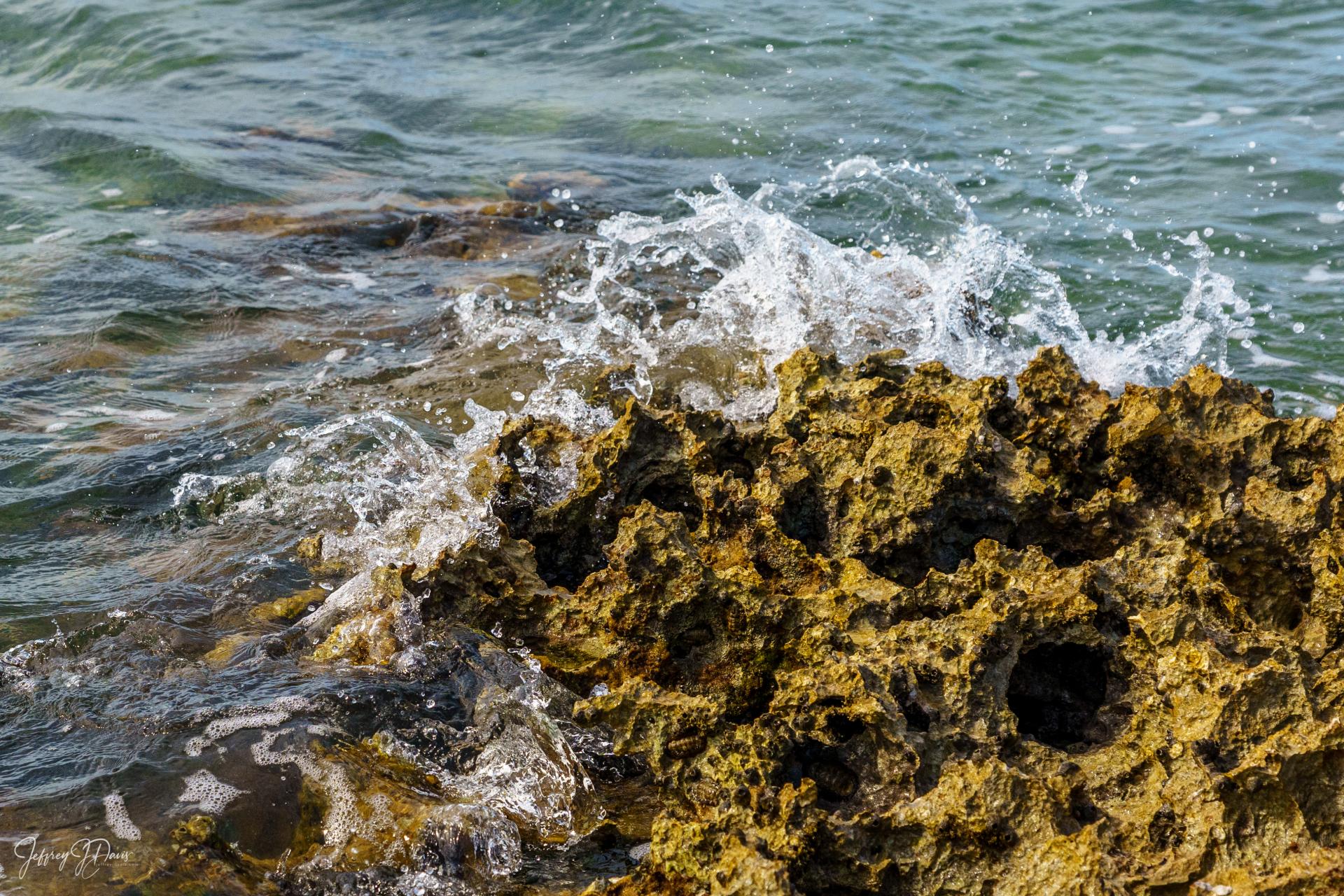 Atlantic Splash on the Ironstone, Flordia Keys
