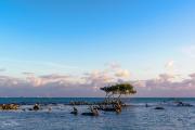 Marathon Sunset, Florida Keys