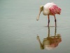 202106_Estero-04588-Edit.jpg