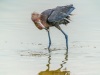 202106_Estero-04782-Edit.jpg
