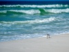 202204_Destin -4704.jpg