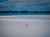 202205_SpanishWells-06686.jpg
