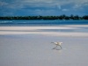 202205_SpanishWells-06723.jpg