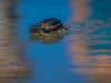 202203.Seabrook-02364