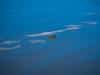202203.Seabrook-02523