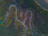 Winding Creeks, Privateer Creek Marsh