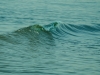 1jd_2594